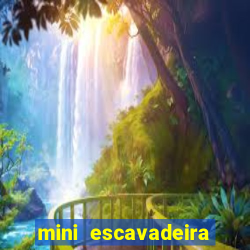 mini escavadeira aluguel rj